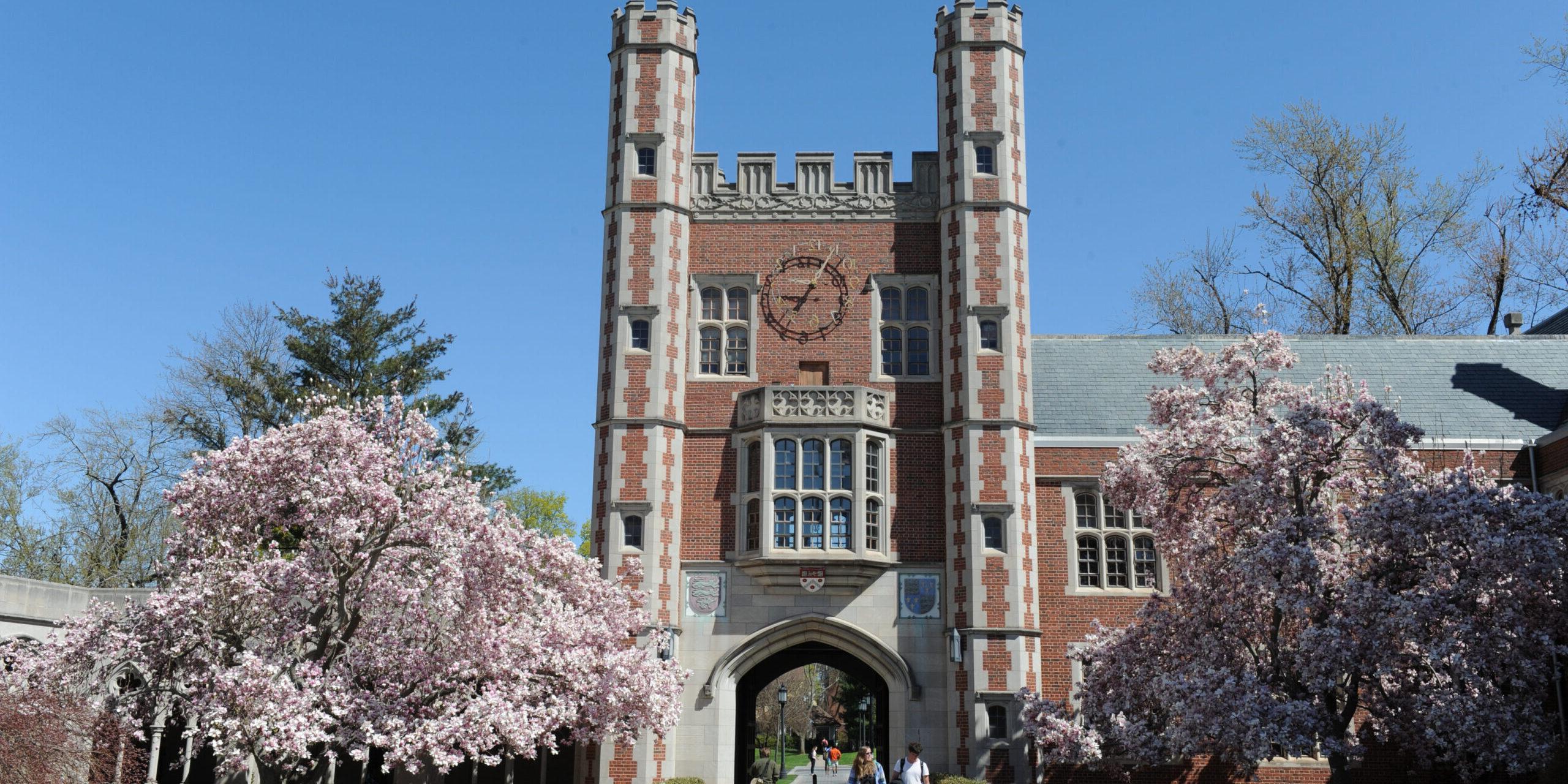 The Chapel at Trinity College with Pink Blooming Trees